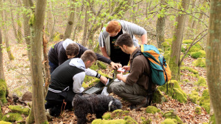 Los jóvenes hacen un recorrido GPS por el Camping Donnersberg en Gerbach, Renania-Palatinado, Alemania .