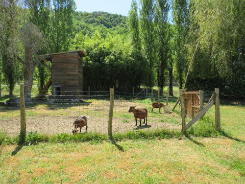 Zona para mascotas - Voda-Tent - Camping la Salvinie - Dordoña, Terrasson Lavilledieu, Francia