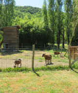 Animal field - Vodatent - Camping la Salvinie - Dordogne, Terrasson Lavilledieu, France