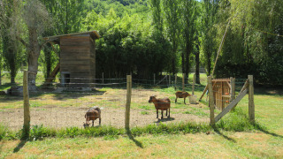 Zona para mascotas - Voda-Tent - Camping la Salvinie - Dordoña, Terrasson Lavilledieu, Francia