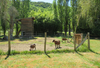 Dierenweide - Vodatent - Camping la Salvinie - Dordogne, Terrasson Lavilledieu, Frankrijk