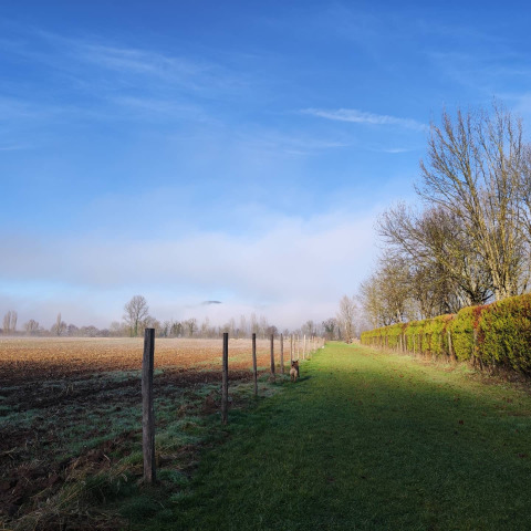 Landschap bij Camping la Salvinie in Nouvelle-Aquitaine, Frankrijk met groene weide en blauwe lucht.