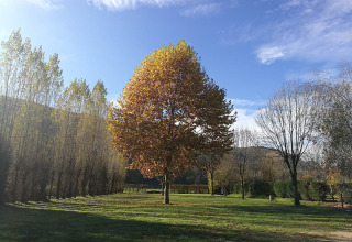 Field with trees - Vodatent - Camping la Salvinie - Dordogne, Terrasson Lavilledieu, France