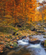 Nationalpark Harz, Duitsland