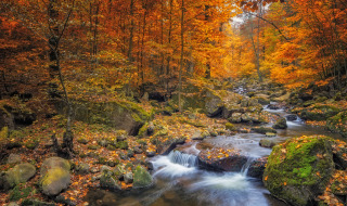 Parque Nacional de Harz, Alemania