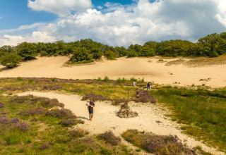 Wandern in den Dünen - Sandberghe - Uden, Nordbrabant, Niederlande