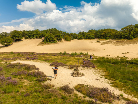 Caminar por las dunas - Sandberghe - Uden, Brabante Septentrional, Países Bajos