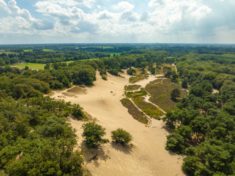 Luchtfoto van zandduinen en bos bij Sandberghe vakantiepark in Noord-Brabant, Nederland op een zonnige dag.
