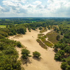Dunas cercanas - Sandberghe - Uden, Brabante Septentrional, Países Bajos