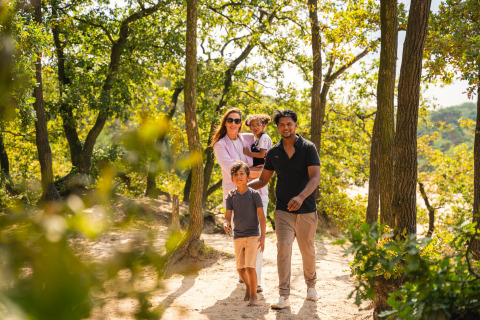 Paseando por los alrededores - Sandberghe - Uden, Brabante Septentrional, Países Bajos