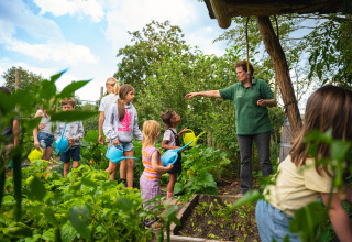 Kinderen leren tuinieren onder begeleiding van een volwassene in een groene tuin in Sandberghe, Noord-Brabant.