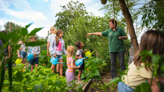 Ayudar en el huerto - Sandberghe - Uden, Brabante Septentrional, Países Bajos