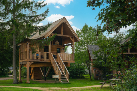 Houten boomhut op palen met veranda en trap bij Sandberghe vakantiepark in Noord-Brabant, Nederland.