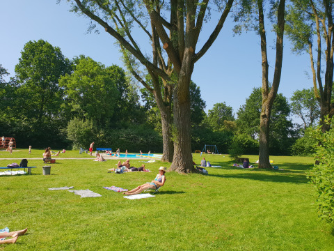 Césped para tomar el sol - Camping de Breede- Warffum - Groninga - Países Bajos