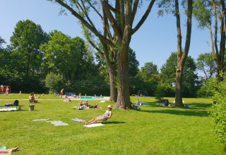 Sunbathing area - Camping de Breede- Warffum - Groningen - Netherlands