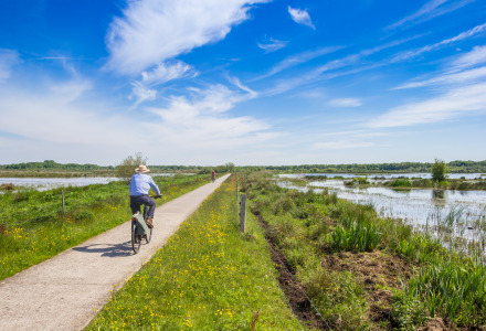 Man cycling through the Groningen countryside, Groningen, Netherlands. - editorial use