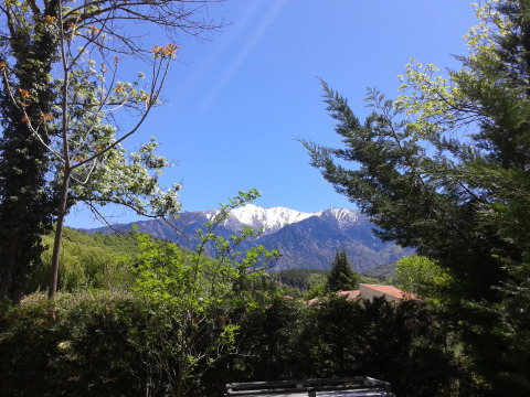 Vista de la montaña desde el camping - Camping le Rotja- Fuilla - Occitanie - Países Bajos
