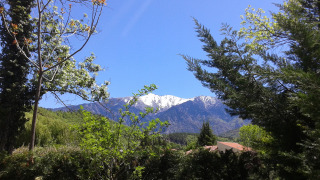 Mountain view from campsite - Camping le Rotja- Fuilla - Occitanie - Netherlands