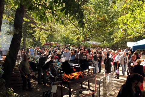 Barbacoa en el camping - Camping le Rotja- Fuilla - Occitanie - Holanda