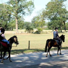Reiten - Camping Dal van de Mosbeek - Mander - Overijssel - Niederlande
