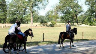 Reiten - Camping Dal van de Mosbeek - Mander - Overijssel - Niederlande