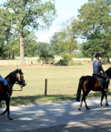 Reiten - Camping Dal van de Mosbeek - Mander - Overijssel - Niederlande