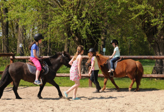 Montar en poni - Voda-Tent - Camping de Meibeek - Ruurlo, Güeldres, Países Bajos