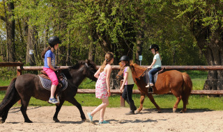 Montar en poni - Voda-Tent - Camping de Meibeek - Ruurlo, Güeldres, Países Bajos