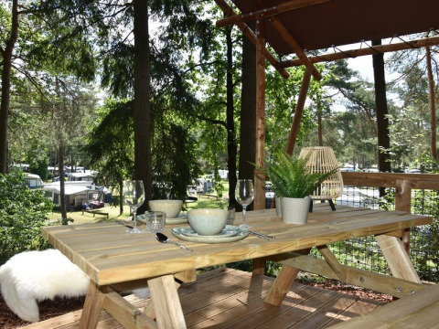 Mesa de picnic de madera en Veluwe Lodge, Camping Samoza, Países Bajos, rodeada de naturaleza y árboles.