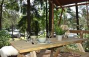 Mesa de picnic de madera en Veluwe Lodge, Camping Samoza, Países Bajos, rodeada de naturaleza y árboles.
