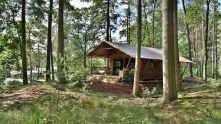 Una Veluwe Lodge en el bosque, con techo tipo tienda y una terraza rodeada por altos árboles verdes.