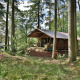Una Veluwe Lodge en el bosque, con techo tipo tienda y una terraza rodeada por altos árboles verdes.