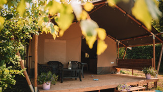 Safari tent with a covered porch, plastic chairs and table, potted plants, surrounded by green trees.
