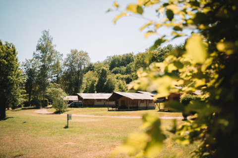 Safaritenten op een groene camping, omringd door bomen en natuur onder een zonnige blauwe hemel.