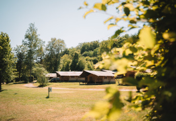 Safaritenten op een groene camping, omringd door bomen en natuur onder een zonnige blauwe hemel.