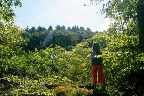 Kind im Wald - Camping Bockenauer Schweiz - Vodatent - Bockenau, Rheinland-Pfalz, Deutschland