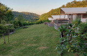 Perro en el césped junto al alojamiento - Camping Sretanwolf - Bosiljevo, Karlovac, Croacia