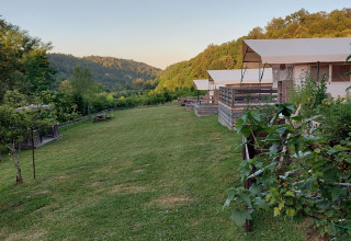 Dog on lawn next to accommodations - Camping Sretanwolf - Bosiljevo, Karlovac, Croatia