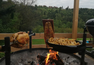 Roasting chicken on fire - Camping Sretanwolf - Bosiljevo, Karlovac, Croatia