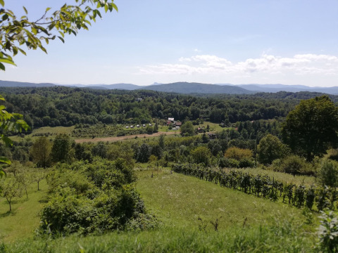 Vistas sobre prados y colinas - Camping Sretanwolf - Bosiljevo, Karlovac, Croacia