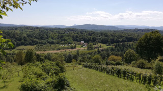 Blick über Wiesen und Hügel - Camping Sretanwolf - Bosiljevo, Karlovac, Kroatien
