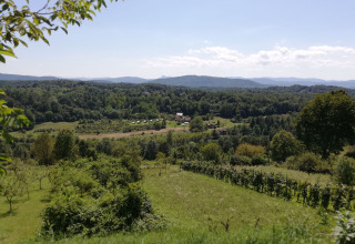 Blick über Wiesen und Hügel - Camping Sretanwolf - Bosiljevo, Karlovac, Kroatien
