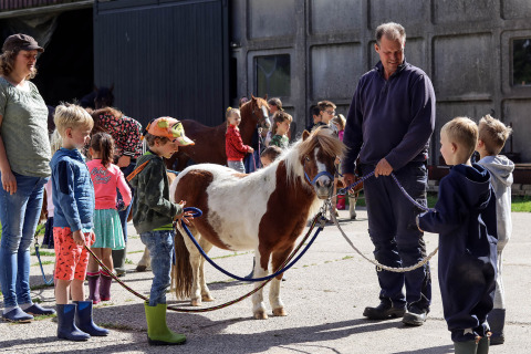 Mirando a los ponis_s - Vodatent - Camping de Hinde - Dronten, Flevoland, Países Bajos5