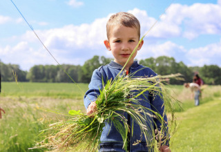 Child on camping - Vodatent - Camping de Hinde - Dronten, Flevoland, Netherlands6