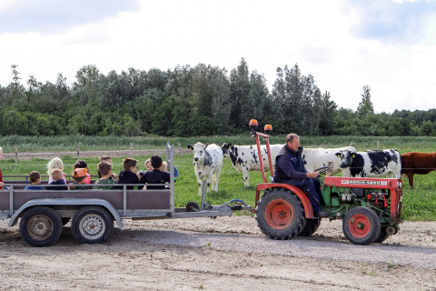 Entlang der Kühe mit dem Bauern - Vodatent - Camping de Hinde - Dronten, Flevoland, Niederlande8