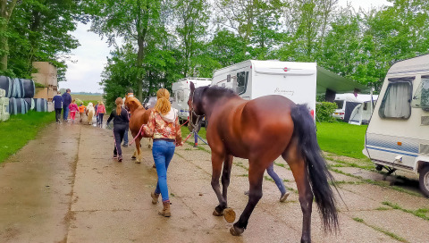 Pferde auf dem Campingplatz - Vodatent - Camping de Hinde - Dronten, Flevoland, Niederlande26