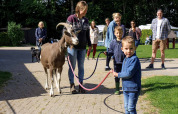 Animali in campeggio - Vodatent - Camping de Hinde - Dronten, Flevoland, Paesi Bassi2