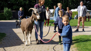 Animals at the campsite - Vodatent - Camping de Hinde - Dronten, Flevoland, Netherlands2