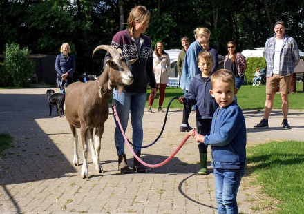 Dieren op de camping - Vodatent - Camping de Hinde - Dronten, Flevoland, Nederland2