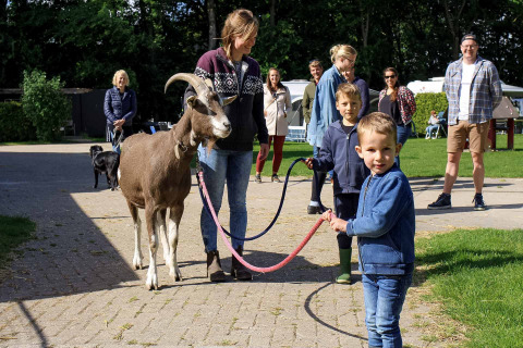 Dyr på campingpladsen - Vodatent - Camping de Hinde - Dronten, Flevoland, Holland2